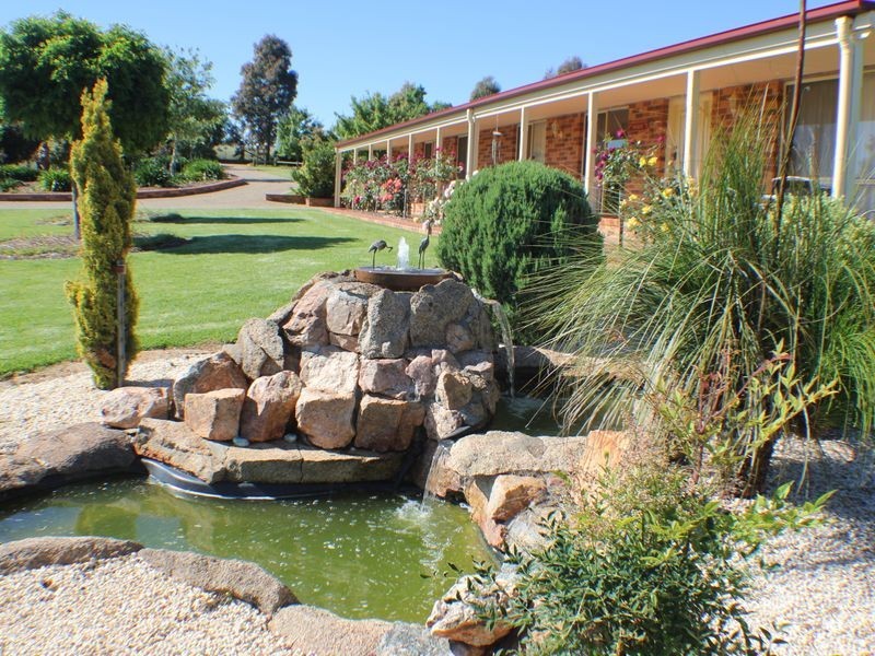 216 Good Friday Gully Rd, Young NSW 2594