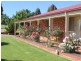 216 Good Friday Gully Rd, Young NSW 2594