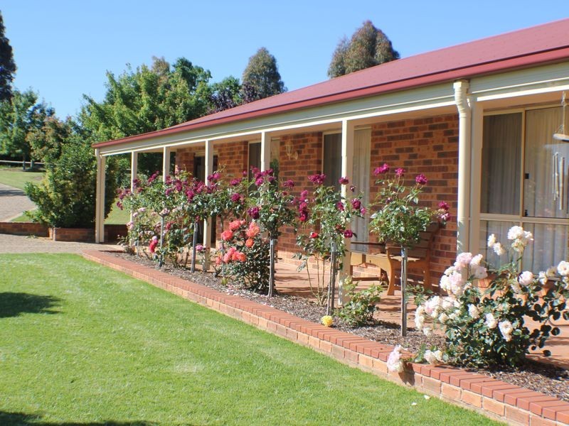 216 Good Friday Gully Rd, Young NSW 2594
