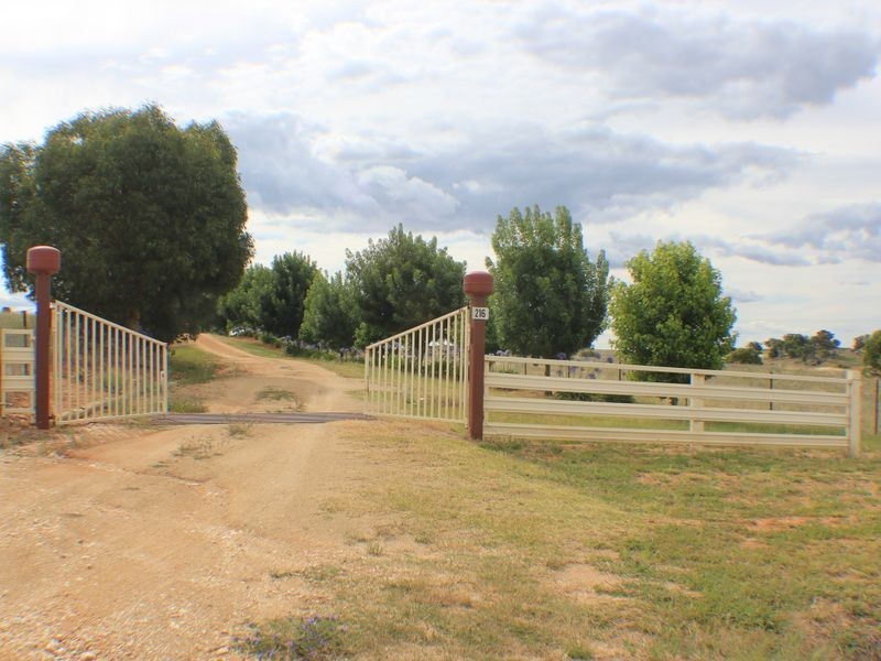 216 Good Friday Gully Rd, Young NSW 2594