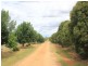 216 Good Friday Gully Rd, Young NSW 2594