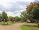 216 Good Friday Gully Rd, Young NSW 2594