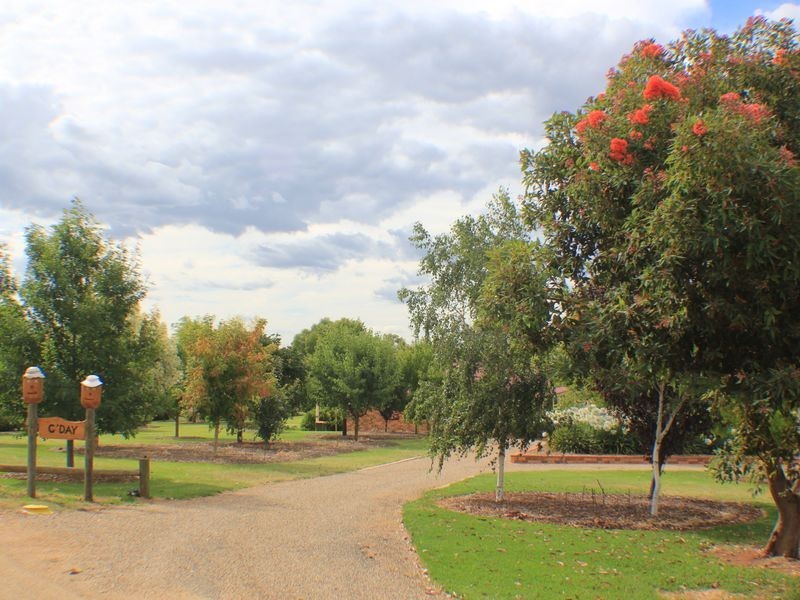 216 Good Friday Gully Rd, Young NSW 2594
