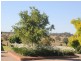 216 Good Friday Gully Rd, Young NSW 2594