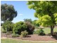 216 Good Friday Gully Rd, Young NSW 2594