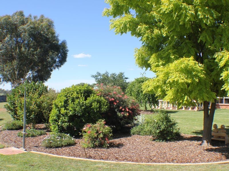 216 Good Friday Gully Rd, Young NSW 2594