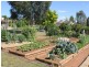 216 Good Friday Gully Rd, Young NSW 2594