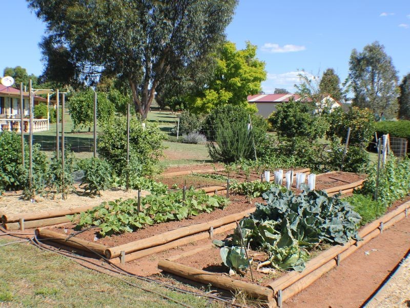 216 Good Friday Gully Rd, Young NSW 2594