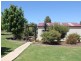 216 Good Friday Gully Rd, Young NSW 2594