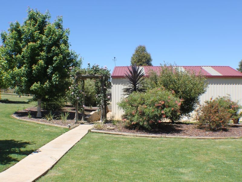 216 Good Friday Gully Rd, Young NSW 2594
