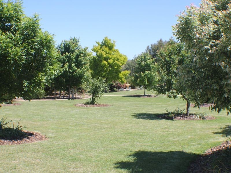 216 Good Friday Gully Rd, Young NSW 2594