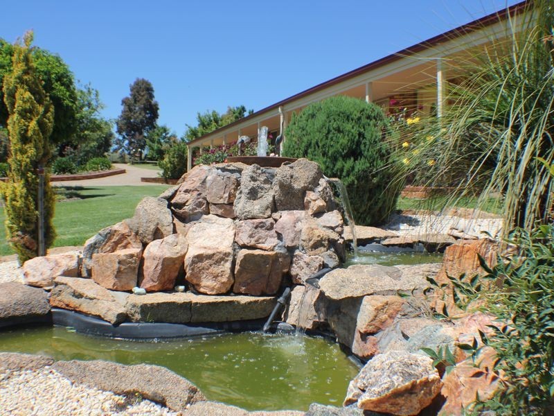 216 Good Friday Gully Rd, Young NSW 2594