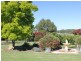 216 Good Friday Gully Rd, Young NSW 2594