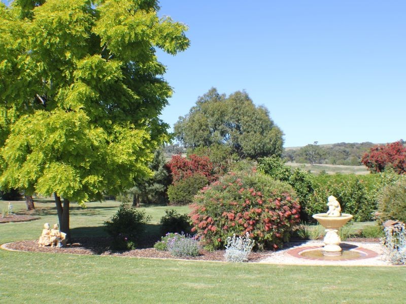 216 Good Friday Gully Rd, Young NSW 2594