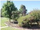 216 Good Friday Gully Rd, Young NSW 2594