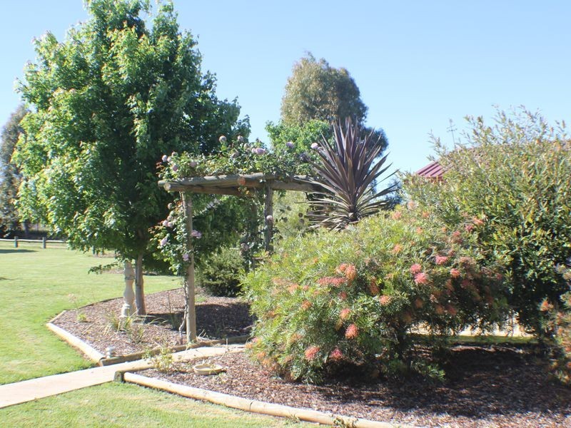 216 Good Friday Gully Rd, Young NSW 2594