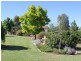 216 Good Friday Gully Rd, Young NSW 2594