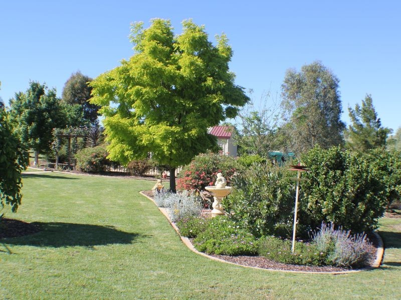 216 Good Friday Gully Rd, Young NSW 2594