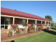 216 Good Friday Gully Rd, Young NSW 2594