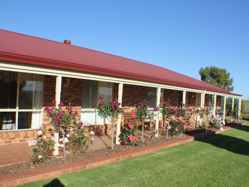216 Good Friday Gully Rd, Young NSW 2594