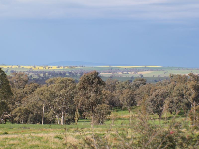 216 Good Friday Gully Rd, Young NSW 2594