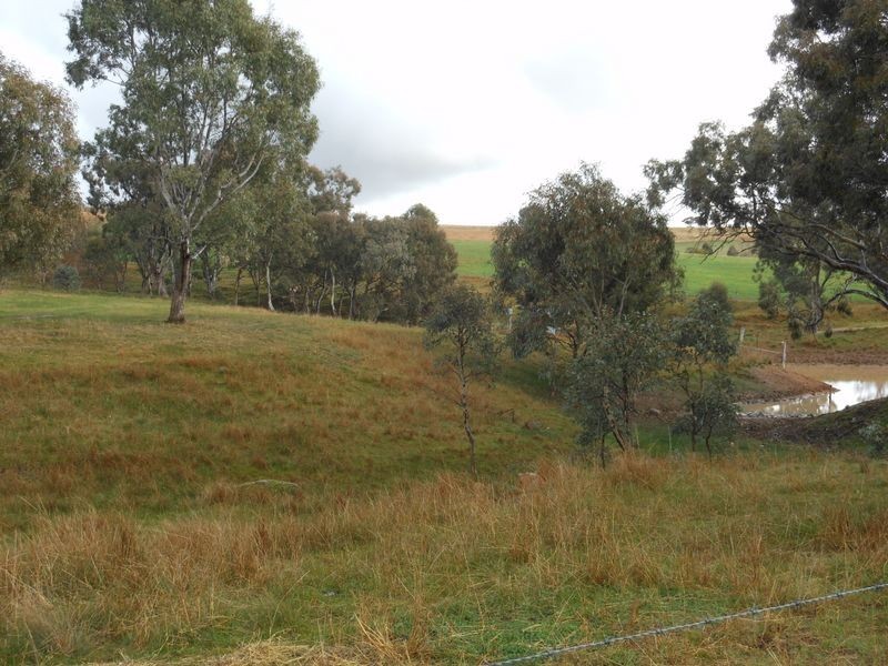 216 Good Friday Gully Rd, Young NSW 2594
