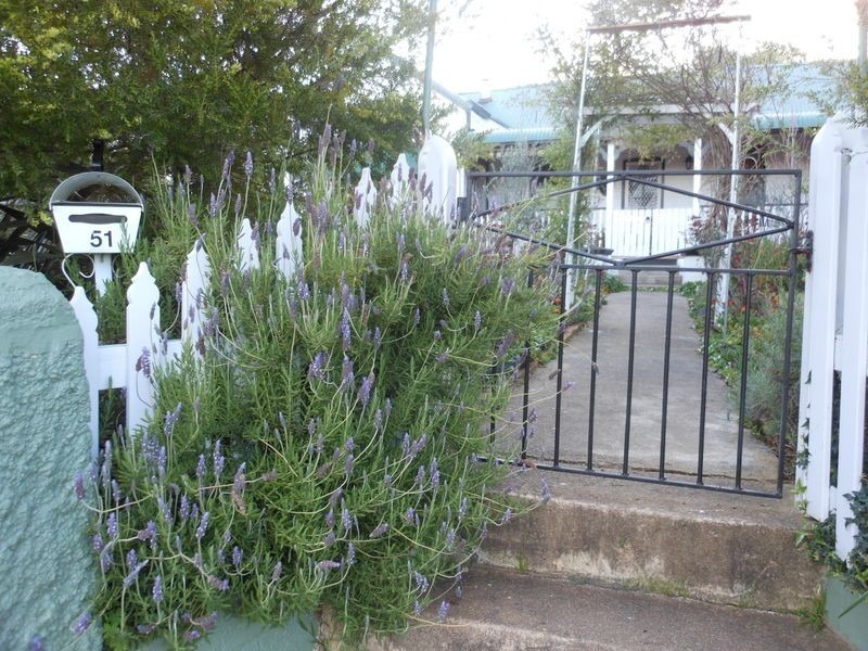 51 Wombat Street, Young NSW 2594