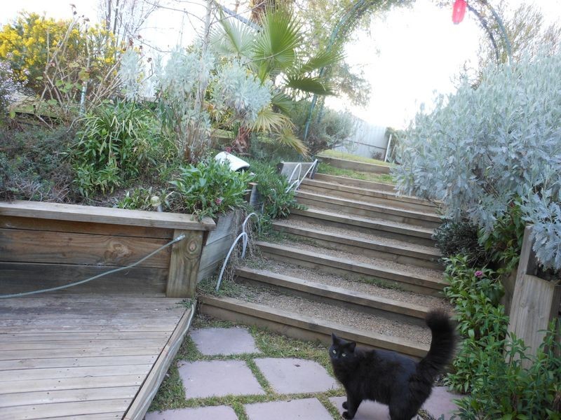 51 Wombat Street, Young NSW 2594