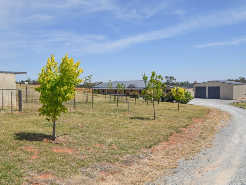 220 Boundary Road, Young NSW 2594