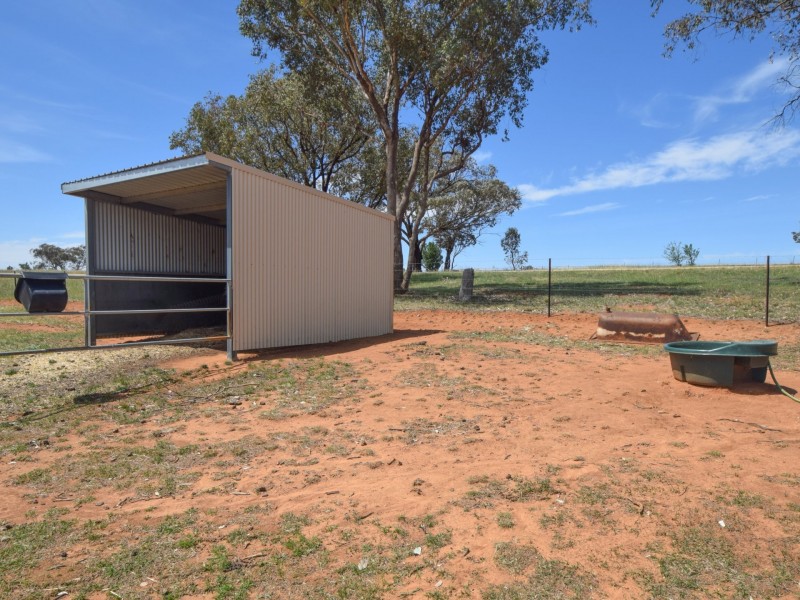 220 Boundary Road, Young NSW 2594