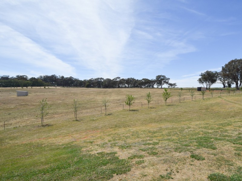 220 Boundary Road, Young NSW 2594