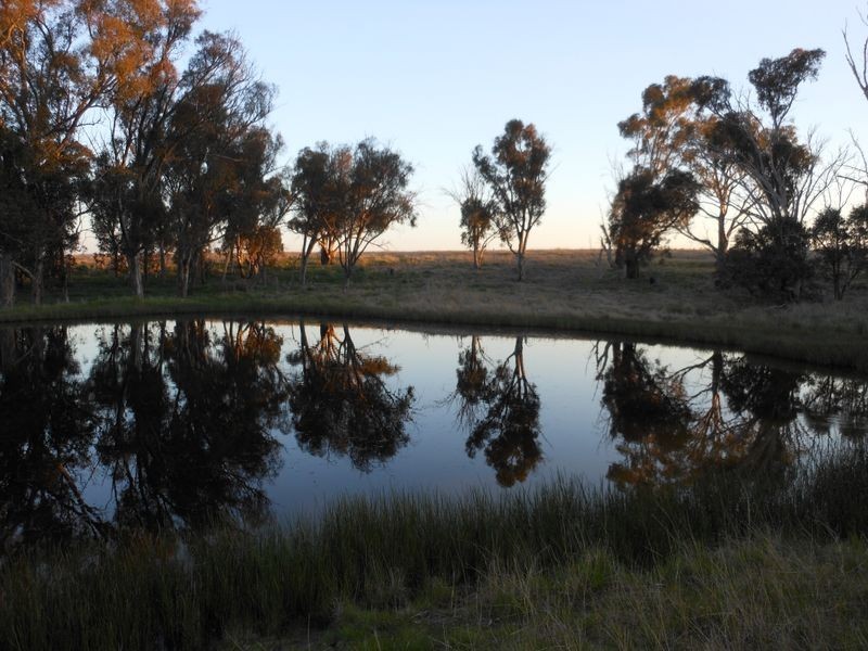 Lot 3 Ellerslee Rd, Young NSW 2594