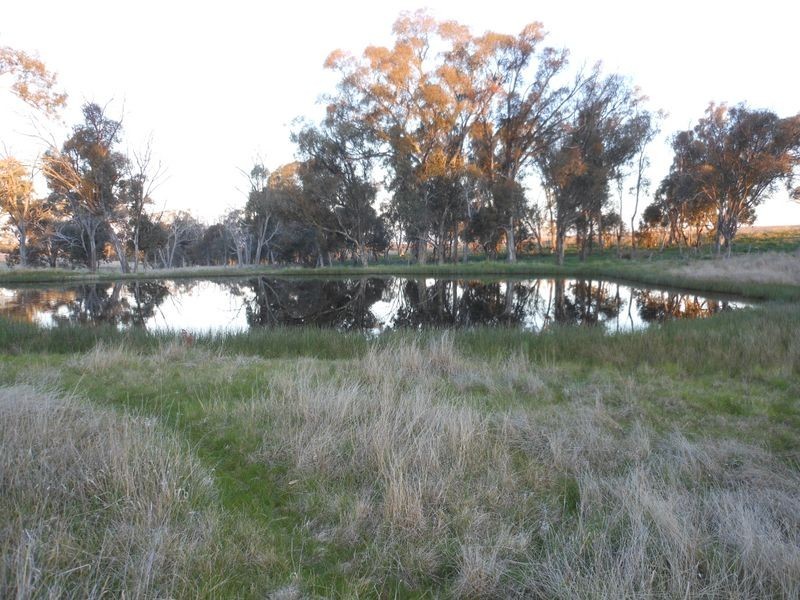 Lot 3 Ellerslee Rd, Young NSW 2594