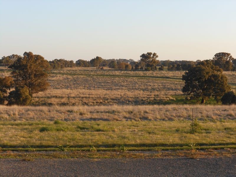 Lot 3 Ellerslee Rd, Young NSW 2594