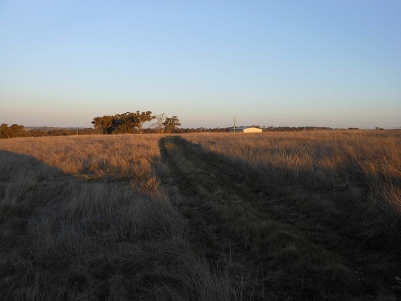 Lot 3 Ellerslee Rd, Young NSW 2594