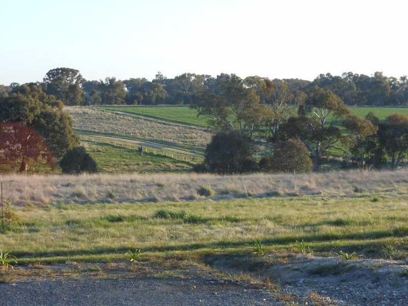 Lot 3 Ellerslee Rd, Young NSW 2594