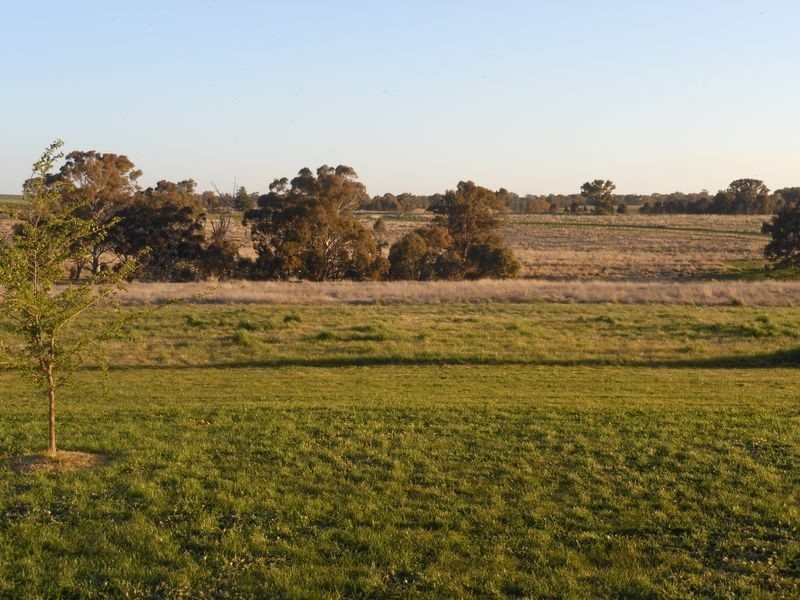 Lot 3 Ellerslee Rd, Young NSW 2594