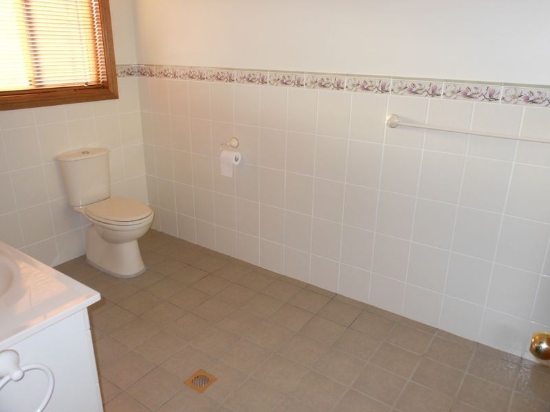 Lot 3 Ellerslee Rd, Young NSW 2594