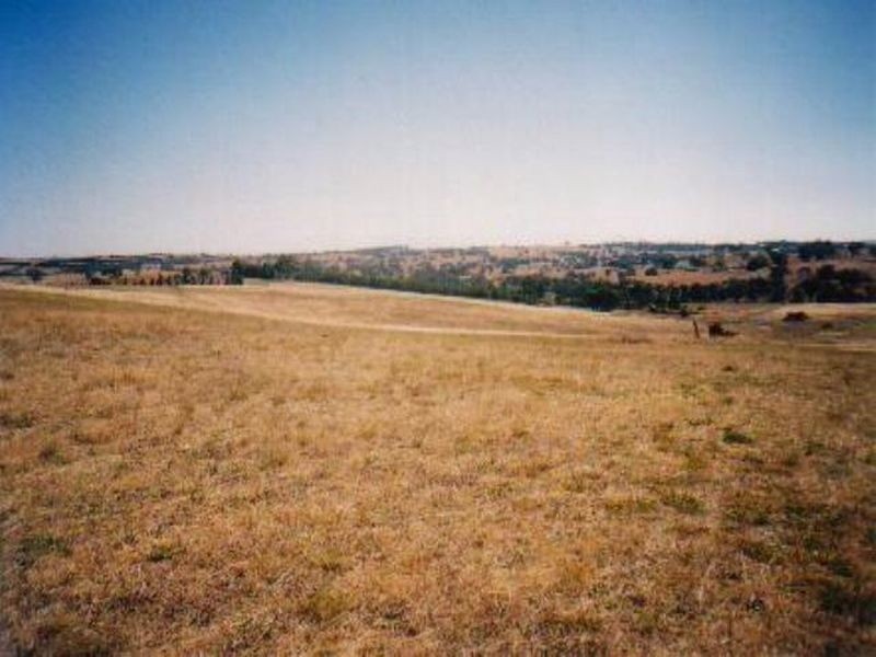 26 Cherry Vale Place, Young NSW 2594