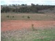 26 Cherry Vale Place, Young NSW 2594