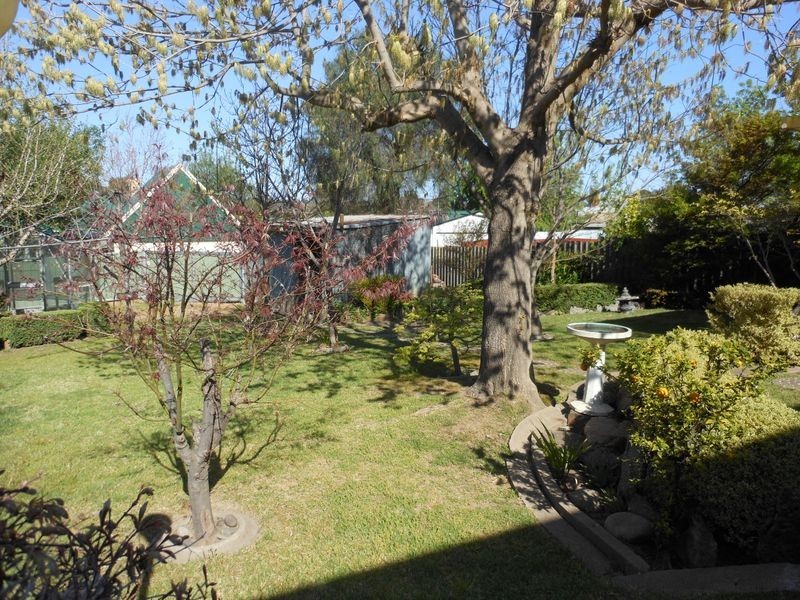 42 Yass St, Young NSW 2594