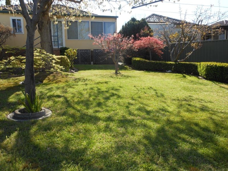 42 Yass St, Young NSW 2594