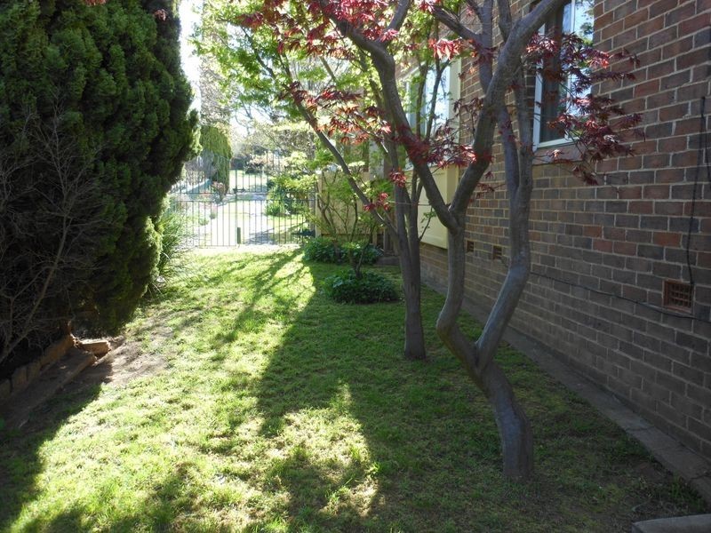 42 Yass St, Young NSW 2594