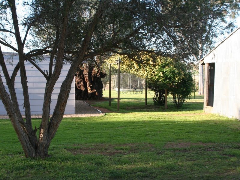 315 Back Creek Road, Young NSW 2594