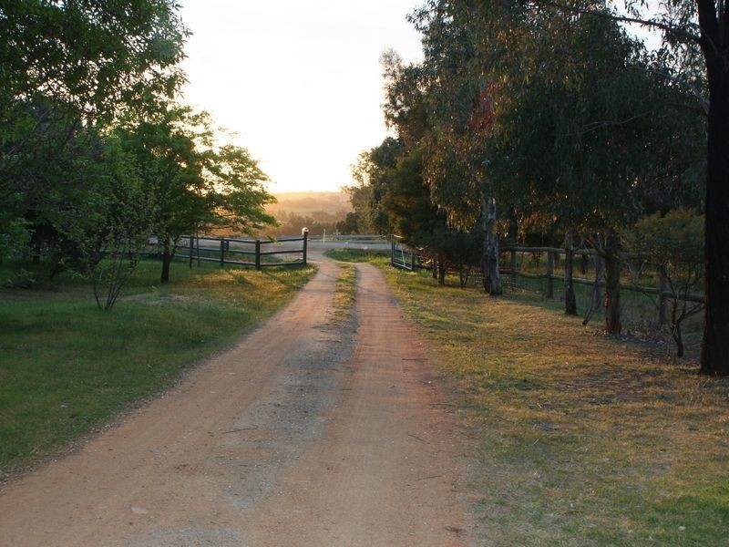 315 Back Creek Road, Young NSW 2594