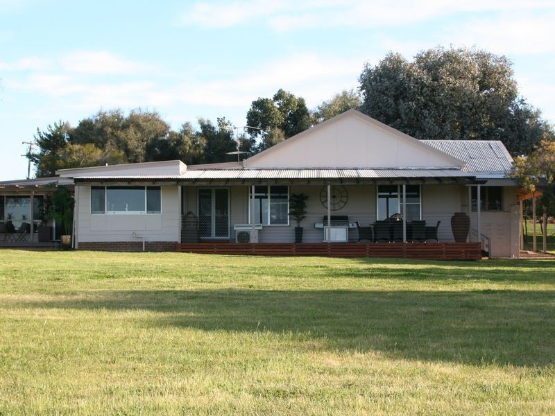 315 Back Creek Road, Young NSW 2594