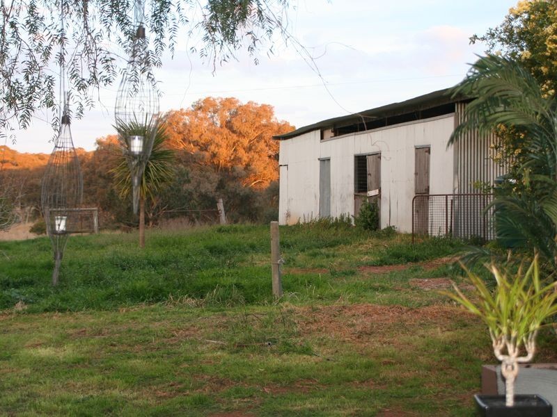 315 Back Creek Road, Young NSW 2594