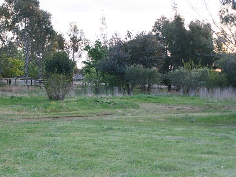 315 Back Creek Road, Young NSW 2594