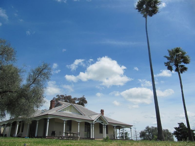 525 Old Forbes Rd, Young NSW 2594