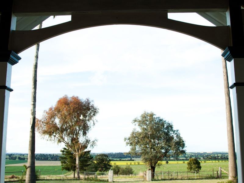 525 Old Forbes Rd, Young NSW 2594